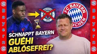 💥 Bayern schlägt zu  Guéhi Transfer könnte ManCity kalt erwischen!
