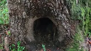 Rainy Day Adventure