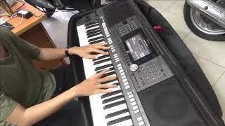 Mỹ Nh&acirc;n - Đ&agrave;n organ