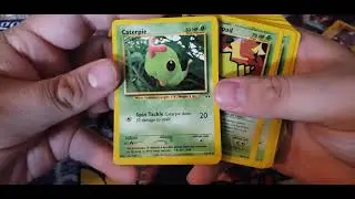 Pokemon TCG: Wallop Theme Deck Unboxing