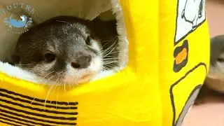 L'actrice Otter joue trois r&ocirc;les &agrave; elle seule