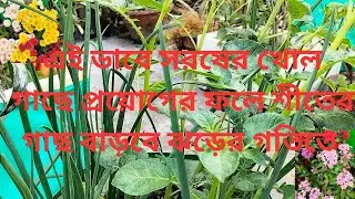 Your Plants Are Dying Because of This Mustard Cake Mistake #greenrooftop #garden