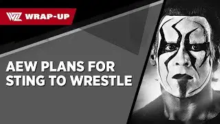 Reported Plans For Sting To Compete in AEW - WrestleZone.com