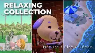 【ACNH ASMR】Deep Sleep ACNH Ambience 💤3 Hours of Relaxing  Fireplace, Ocean, Nature | あつ森 睡眠・作業用BGM