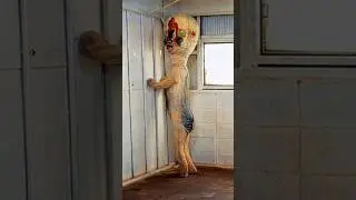 SCP-173 - La Escultura | Explicado #scpfoundation #miedo #scproject #scpshorts #horror #scp