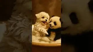 Bubble Bath Buddies