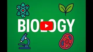 Grade 11, Biology, chapter 2 (2.1.4 Protein- Part II)