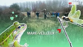 Zones humides : un tr&eacute;sor &eacute;cologique pr&eacute;serv&eacute; par les lyc&eacute;ens d&rsquo;Anchin.