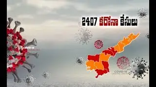 Coronavirus Positive Cases in AP | Rises to 2,407, 53 Dead & 1,639 Recovered till May 20