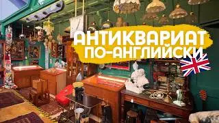 Антикварный магазин, котик и интеграция в эмиграции