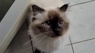 When The Food You Have Just Is'nt Good Enough