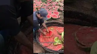 What are these farmers separating from the watermelon 🤔l #agriculture