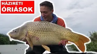 H&Aacute;ZIR&Eacute;TI &Oacute;RI&Aacute;SOK a dzsungelből🏕🏞( The FishAIRMan 4. r&eacute;sz)