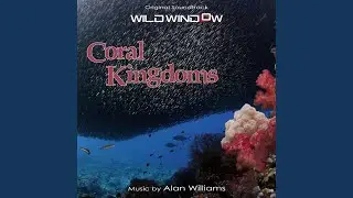 Peaceful Coral