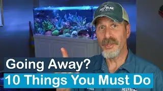 10 Things You Should do to Prepare a Reef Tank Before Going on Vacation