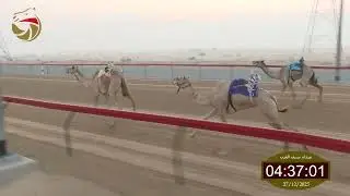 سباق اللقايا – سيف العرب 27-12-2025 ش1 كحال لـ سهيل الرملي محمد العامري  7:34