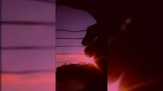 LANY-13(GUITAR FINGERSTYLE COVER)