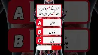 General Knowledge Quiz in Urdu | Brain Test | GK Quiz in Urdu #shorts