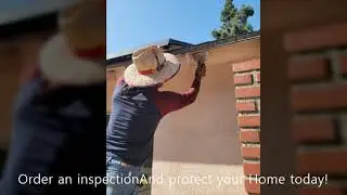 OC TERMITE SPECIALIST AMERICA PESTERMITE SVC 터마이트전문가