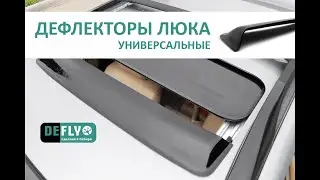 ДЕФЛЕКТОРЫ ЛЮКА DEFLY