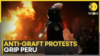 Peru: Protests Erupt Following Reforms to Country's Pension System | WION