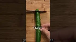Sushi Roll Shaper