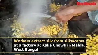 Workers extract silk from silkworms at a factory in Malda, West Bengal