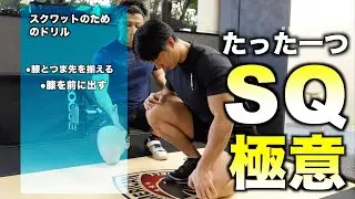 スクワットは「積み木」？！スクワット日本記録保持者が教える一番大切なこととは？