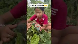 Eat rice cucumber😗 #funny #wildrice #edit #food #mukbang