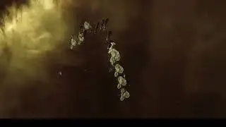 BVG - Sansha Incursion HQ - Formation Flight