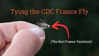 Tying the CDC France Fly (My Favorite Euro Nymph)
