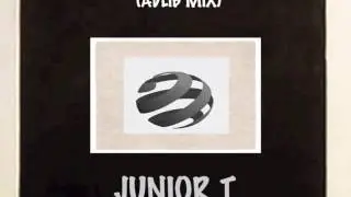 I Want 2 Dance  - Junior T -  adlib mix
