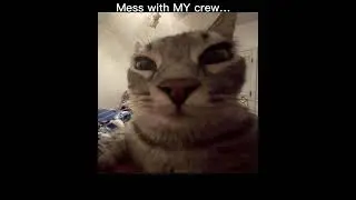 The creature. (Larry lore)-#memes #catmemes #cat #larry #lore
