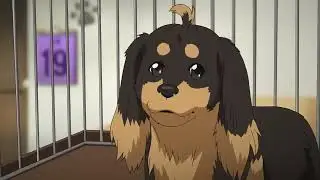 My Dog can talk  | Full HD | Full Episode 1-12 English Dubbed | Anime Realms