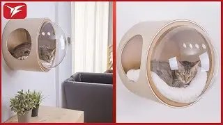 Amazing Pet Toys & Gadgets That Are On Another Level