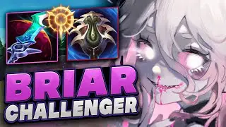 How I Got 20 Kills With This NEW Broken Briar Jungle Build | Indepth Guide