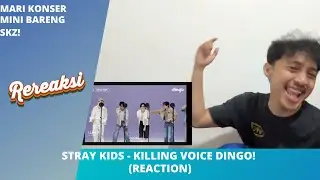 STRAY KIDS - KILLING VOICE DINGO! (REACTION) | PANGGUNG NYA SKZ BANGET!