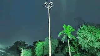 Natural wind natural trees#trending #nature #naturelovers #vidio 