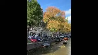 Amazing video uk#london #uk #beautiful city #viral short