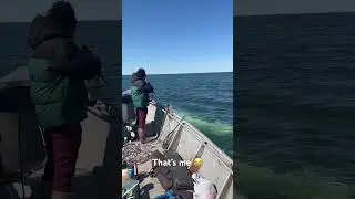 Beluga whale hunting in Alaska. I ended up catching this big guy.