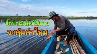 รื้อป่าผักบุ้งใส่ดางจะคุ้มค่าไหมมาดูผลงานกันครับ