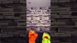 Fizz and Fuzz going crazy with there dance moves #dancing #funnyvideo #relatable #duo-dances #puppet
