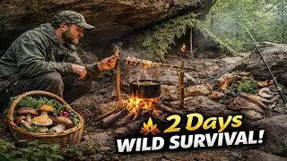 2 Days Wild Survival 🏕️🎣🔥 Rock Shelters + Traps + Foraging & Camp Cooking (Full Adventure)