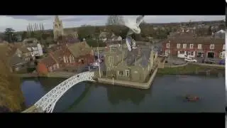 Seagull attacks drone! - Drone 1 - Seagull 0