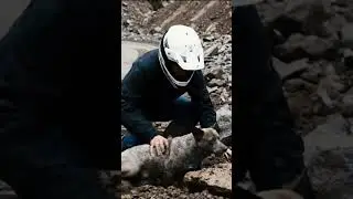Young Guy Rescues Dog from Mountain Landslide