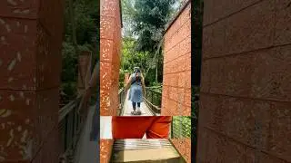 Nature #viralvideo #djremix #edm #musicshorts #trendingshorts #nature #love #girl #boy #fun