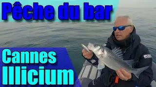Comment choisir sa canne du bord ou en bateau POUR PECHER LE BAR 🐟🎣🐟