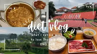 Diet Vlog#2 One Meal A Day For A Week/Eat Whatever I Want But Still Lose Weight Day 6-Day 12