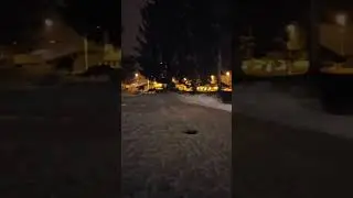 CANI RANDAGI NO, LUPI S&Igrave;? Qualcosa non &egrave; pi&ugrave; chiaro allora! www.pastoredellasiacentrale.com