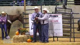 Kinky Boots & Austin Shepard 2021 Southern Futurity Open Classic Champions